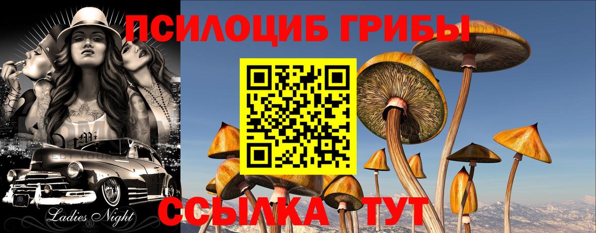 Галлюциногенные грибы GOLDEN TEACHER Киреевск
